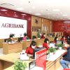 Vay ngân hàng Agribank