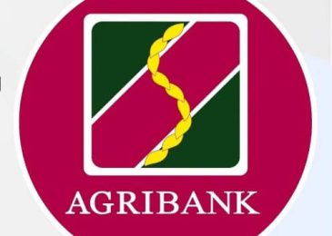 Cách tra cứu tài khoản số đẹp Agribank, phí và giá mới nhất 2023