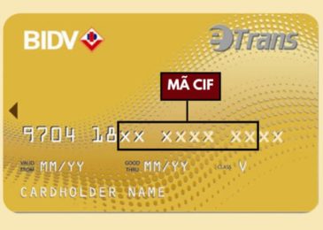 CIF là gì trong ngân hàng? Cách tra cứu mã CIF thẻ ATM nhanh nhất